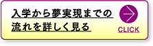 入学から夢実現までの流れを詳しく見る