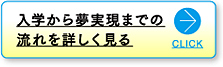 入学から夢実現までの流れを詳しく見る