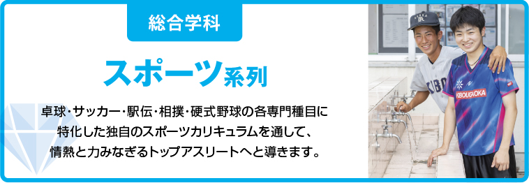 スポーツ系列